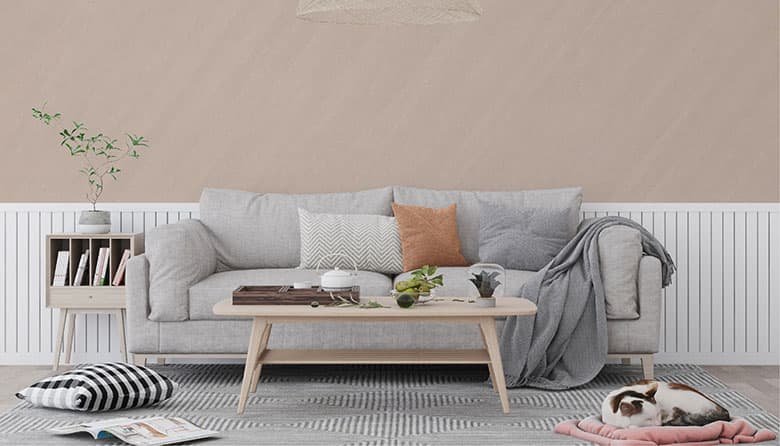 Decorative Paints